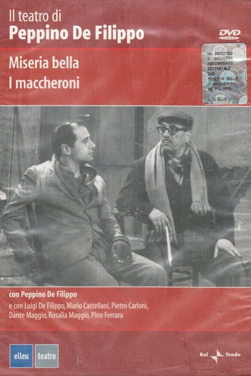 Постер: Miseria bella