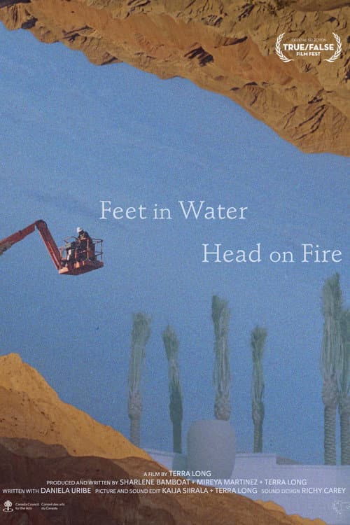 Постер: Feet in Water, Head on Fire