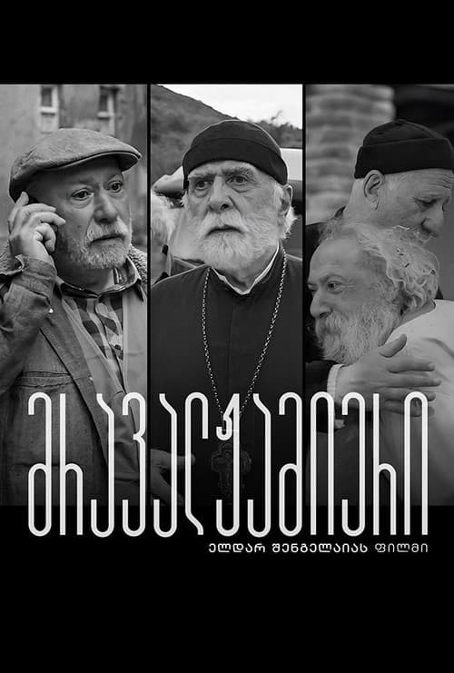 Постер: მრავალჟამიერი