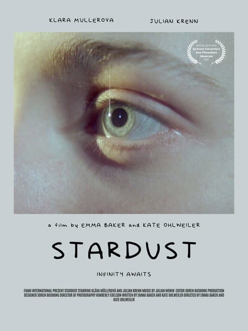 Постер: Stardust
