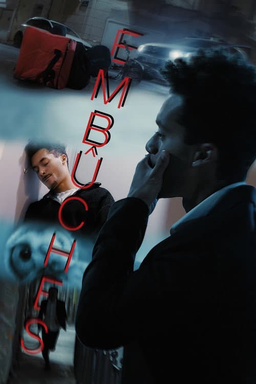 Постер: Embûches
