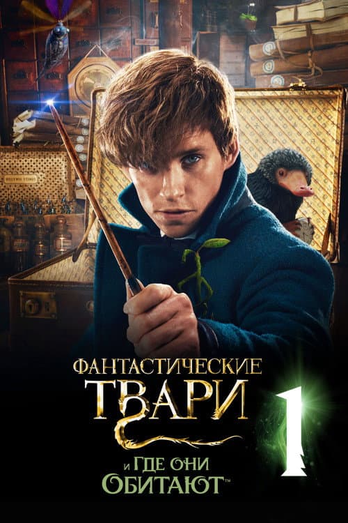Постер 6