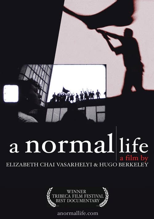 Постер: A Normal Life