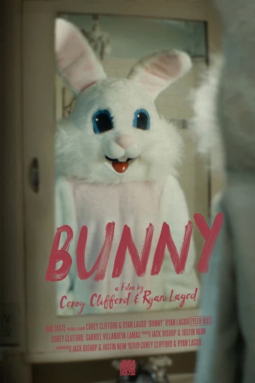 Постер: Bunny