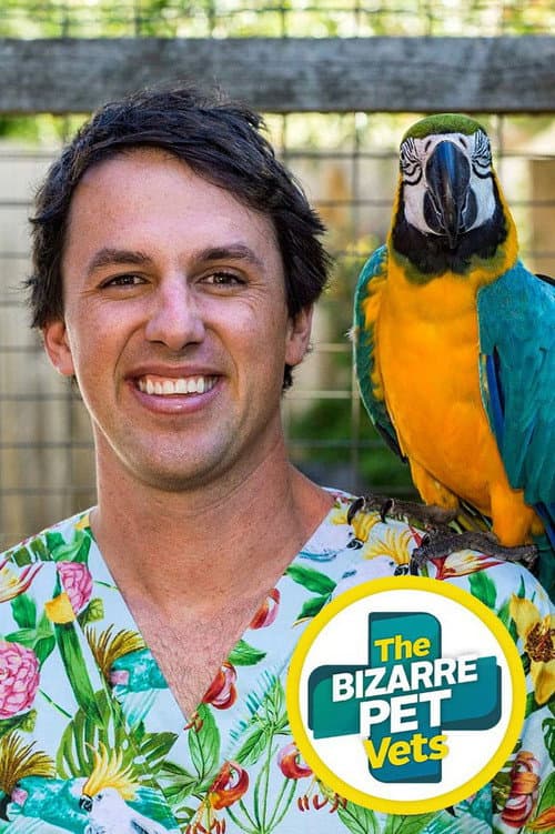 Постер: The Bizarre Pet Vets