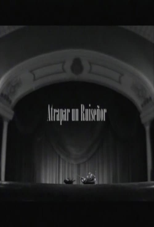 Постер: Atrapar un ruiseñor