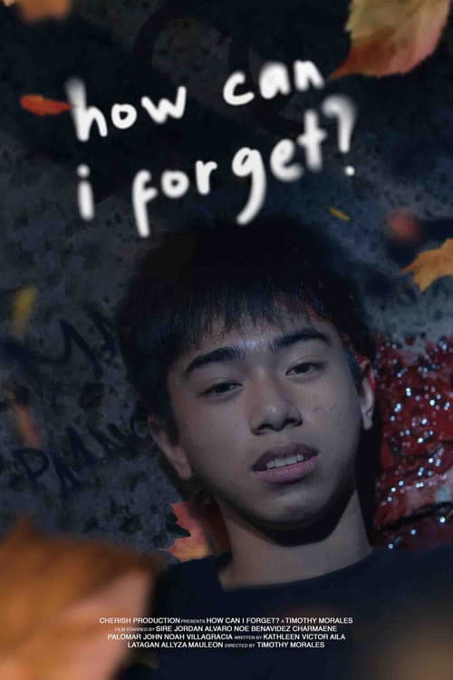 Постер: How Can I Forget?