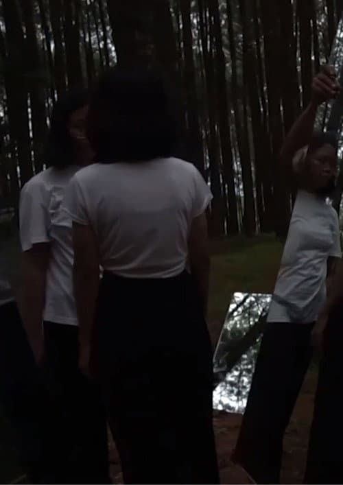 Постер: In The Pines