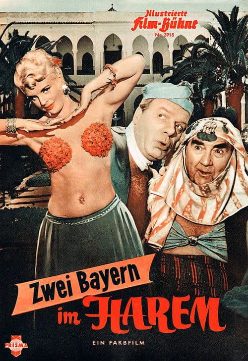 Постер: Zwei Bayern im Harem
