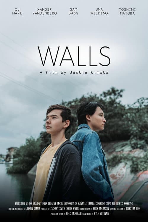 Постер: Walls