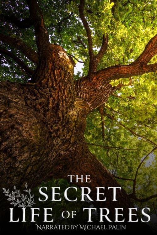 Постер: The Secret Life of Trees