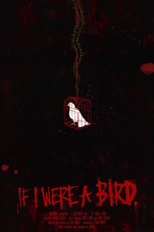 Постер: If I Were A Bird