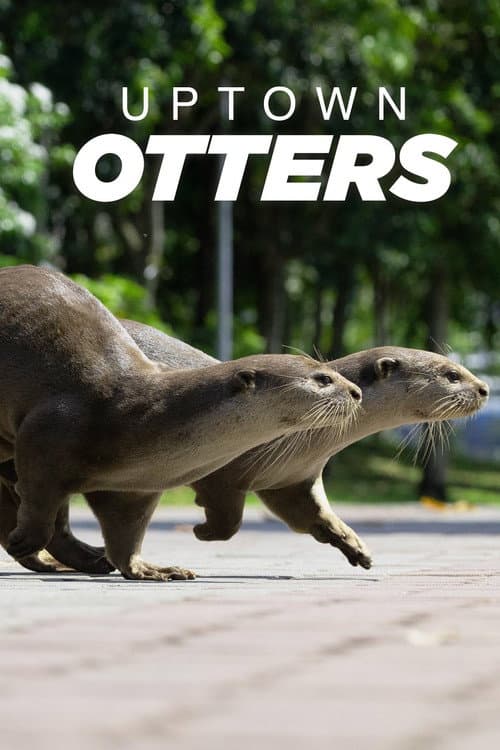 Постер: Uptown Otters