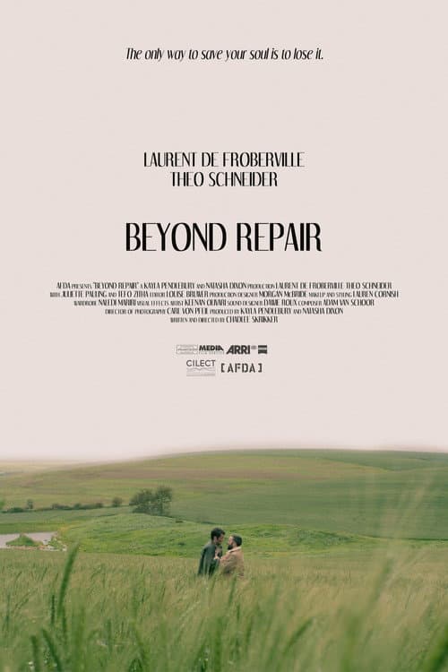 Постер: Beyond Repair