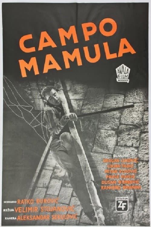 Постер: Campo Mamula