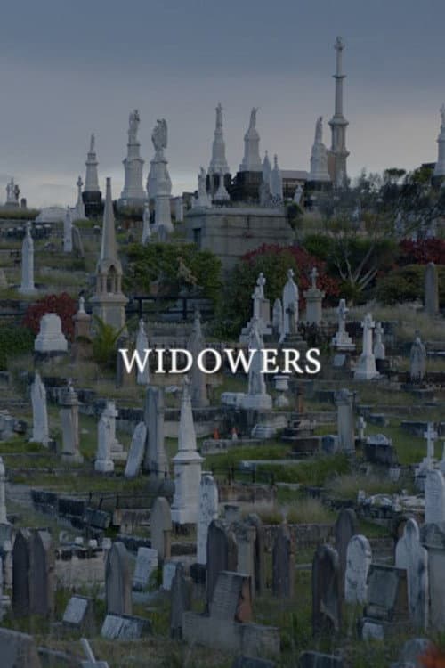 Постер: Widowers
