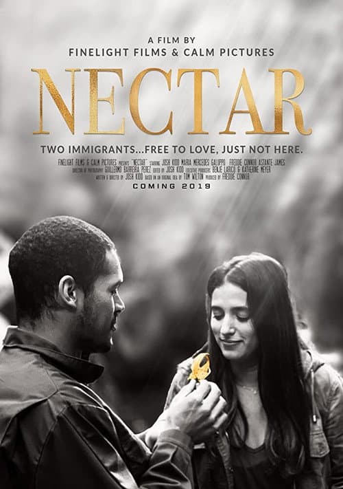 Постер: Nectar