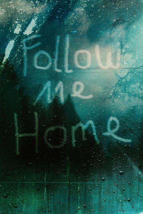 Постер: Follow Me Home