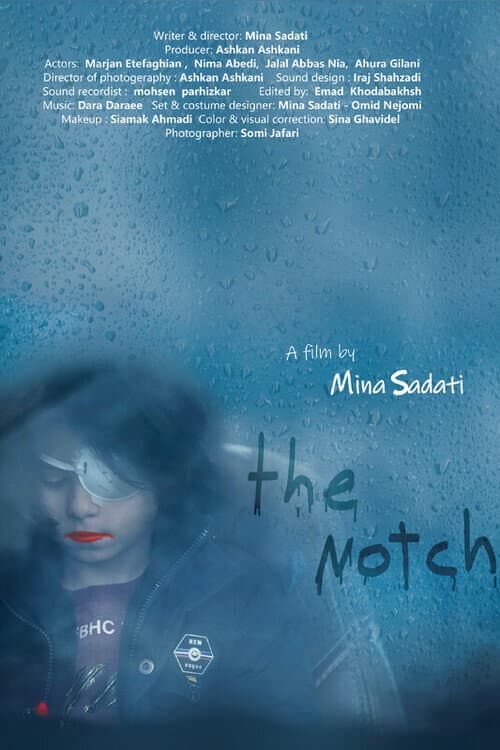 Постер: The Notch