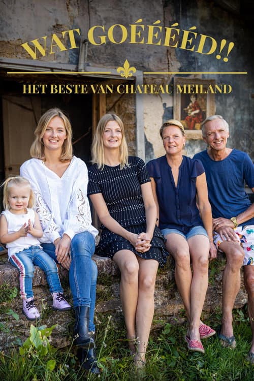 Постер: Wat Goééééd!! Het Beste van Chateau Meiland