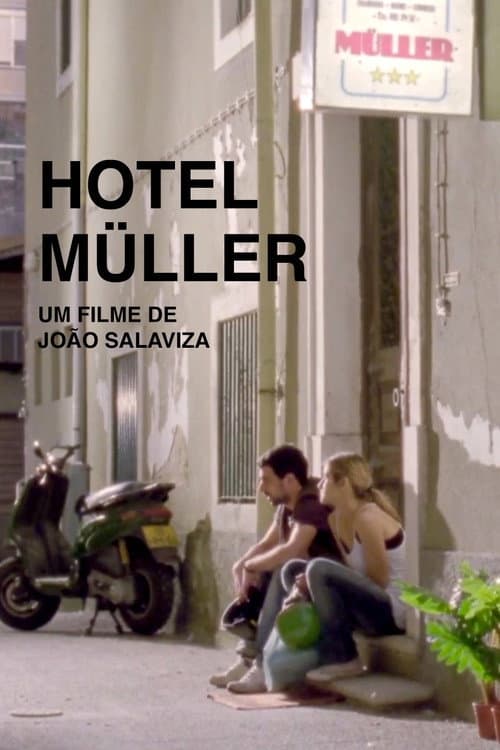 Постер: Hotel Müller
