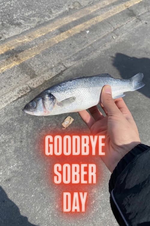 Постер: Goodbye Sober Day