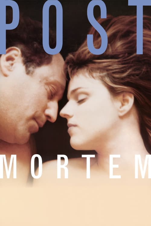 Постер: Post Mortem