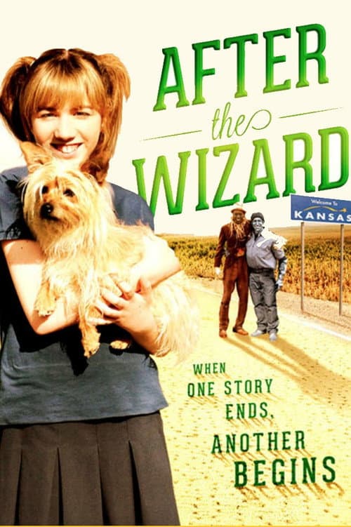 Постер: After the Wizard