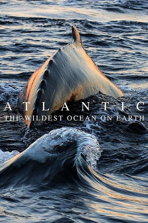 Постер: Atlantic: The Wildest Ocean on Earth