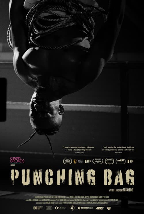 Постер: Punching Bag