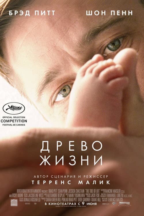 Кадр 3