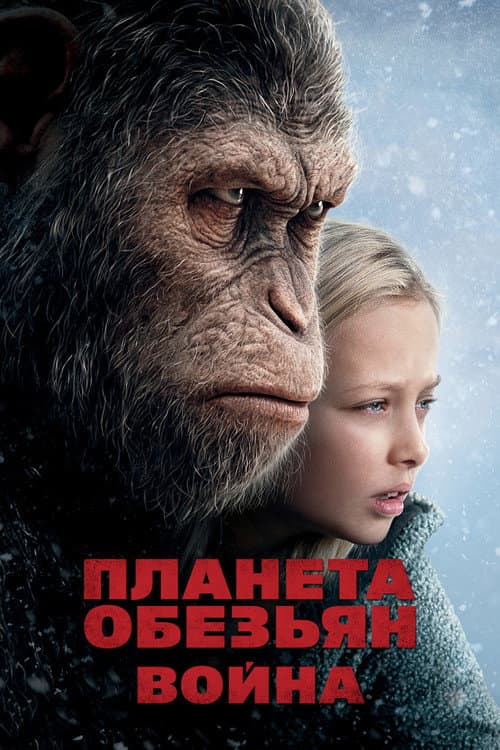 Постер 5