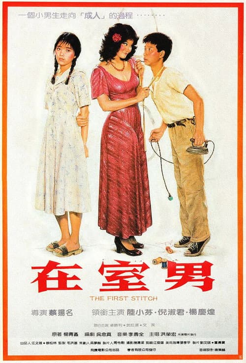 Постер: 在室男