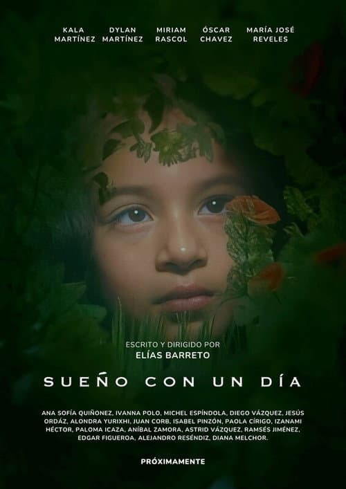 Постер: Sueño con un día