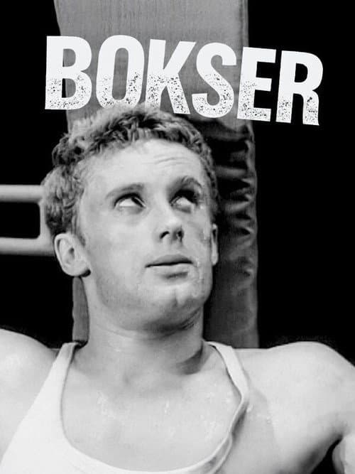 Постер: Bokser