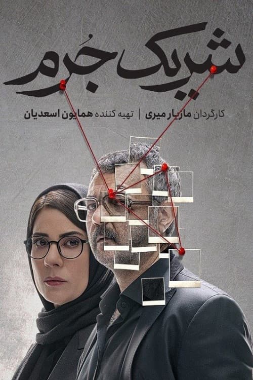 Постер: شریک جرم
