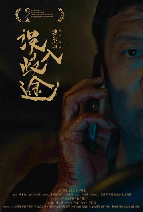 Постер: 误入歧途