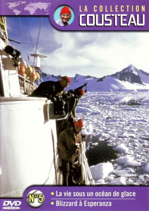 Постер: La collection Cousteau N°5 | La vie sous un océan de glace | Blizzard à Esperanza