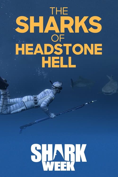 Постер: The Sharks Of Headstone Hell