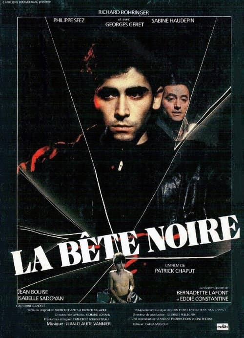 Постер: La Bête noire