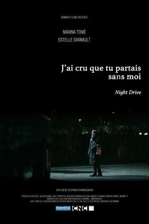 Постер: J'ai cru que tu partais sans moi