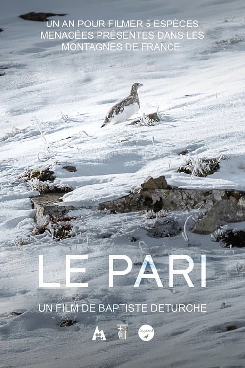 Постер: Le pari