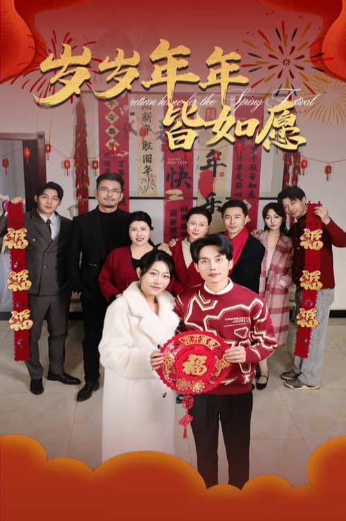 Постер: 岁岁年年皆如愿