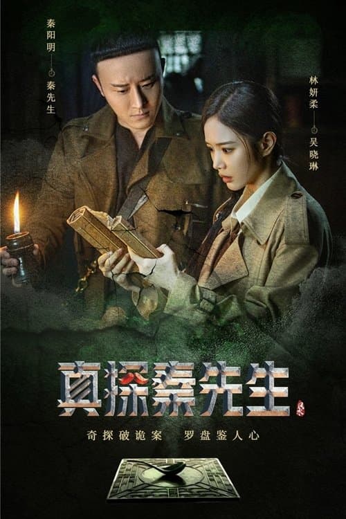 Постер: 真探秦先生