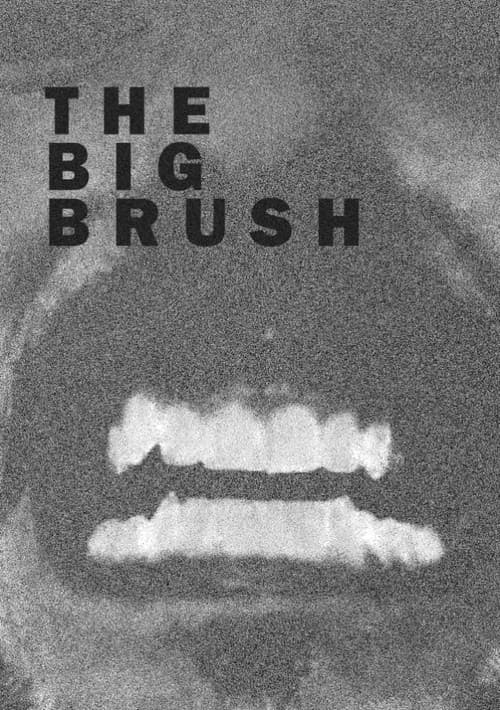 Постер: The Big Brush