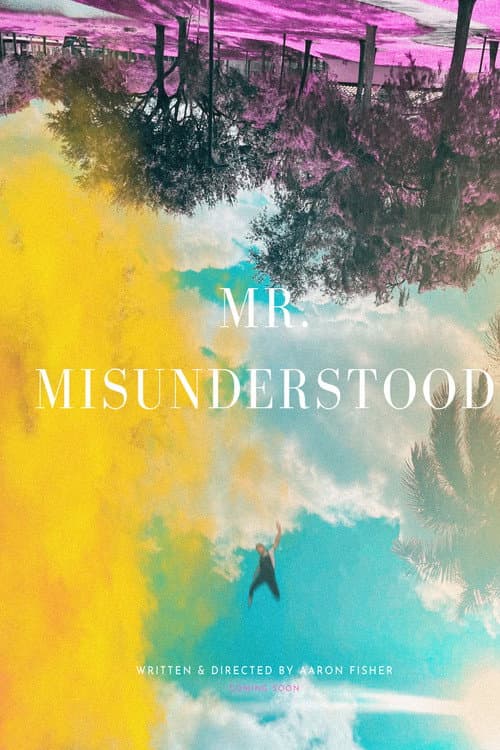 Постер: Mr. Misunderstood
