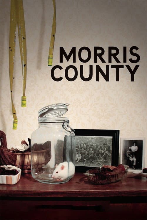 Постер: Morris County