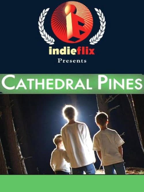 Постер: Cathedral Pines