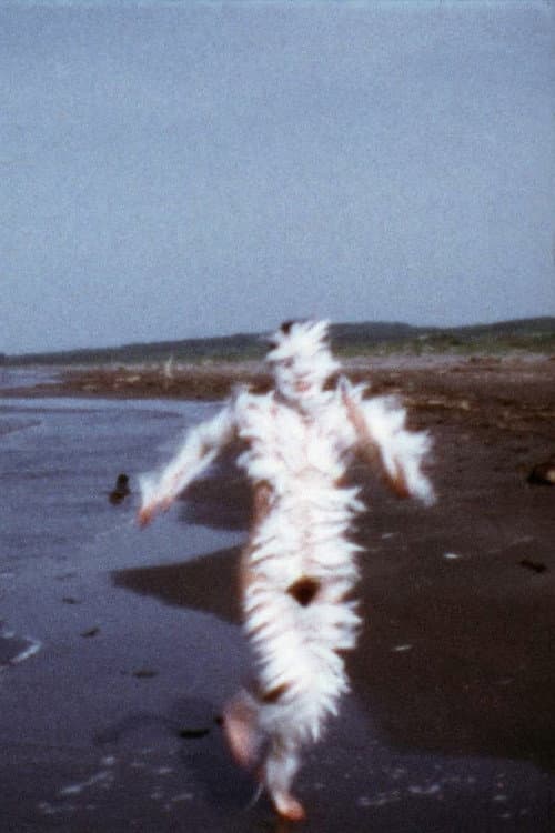 Постер: Bird Run
