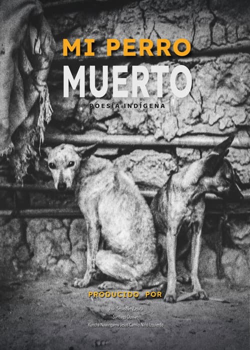 Постер: Mi perro muerto